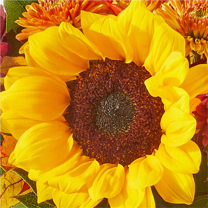 Sunny Side Bouquet –  Eaton Floral Inc, Eaton OH