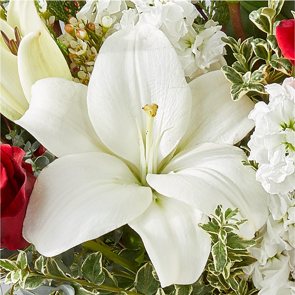 Twinkle Lights Bouquet –  Eaton Floral Inc, Eaton OH