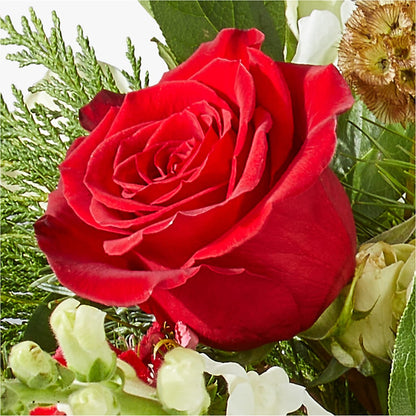Deck the Halls Bouquet –  Eaton Floral Inc, Eaton OH