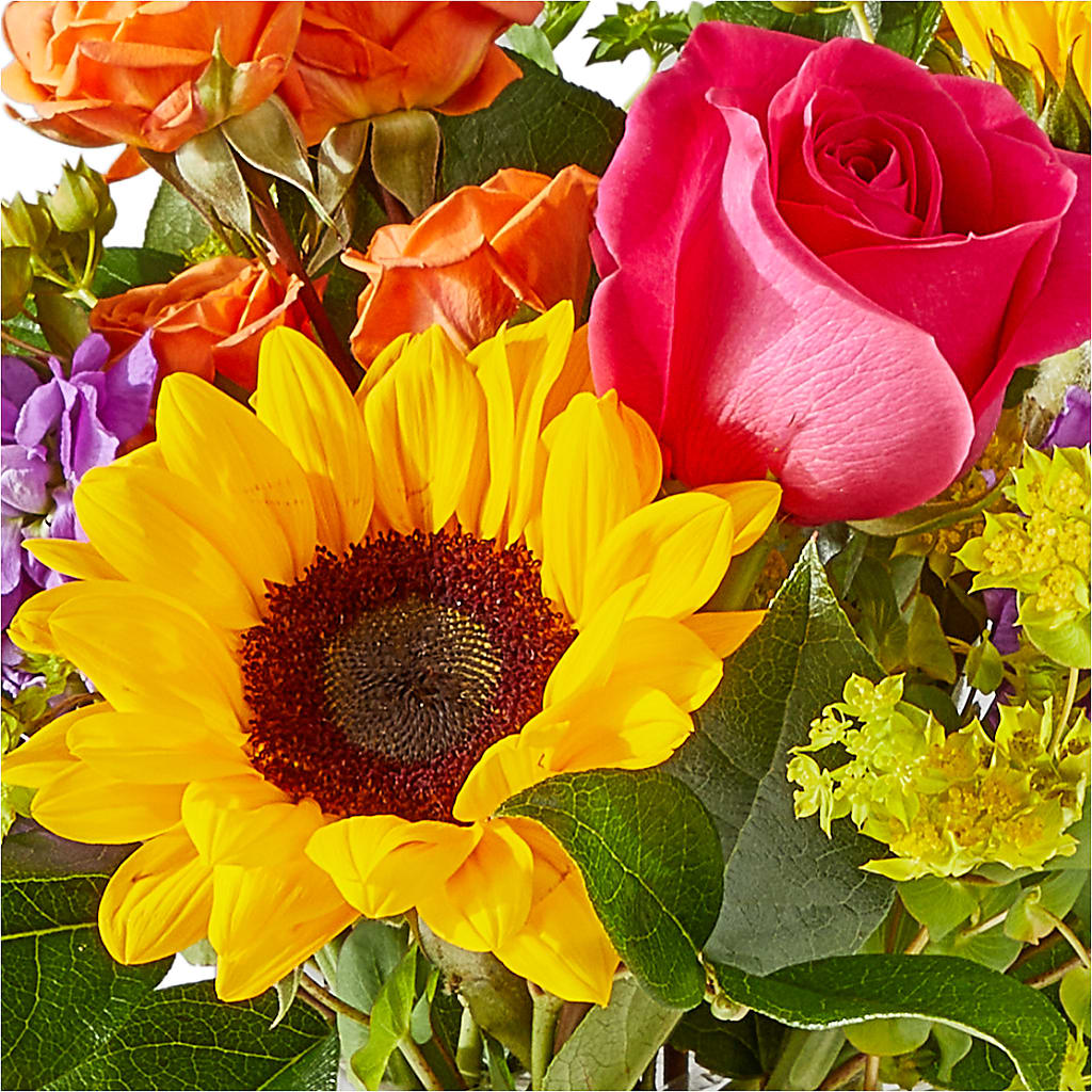 Vibrant Greetings Bouquet –  Eaton Floral Inc, Eaton OH