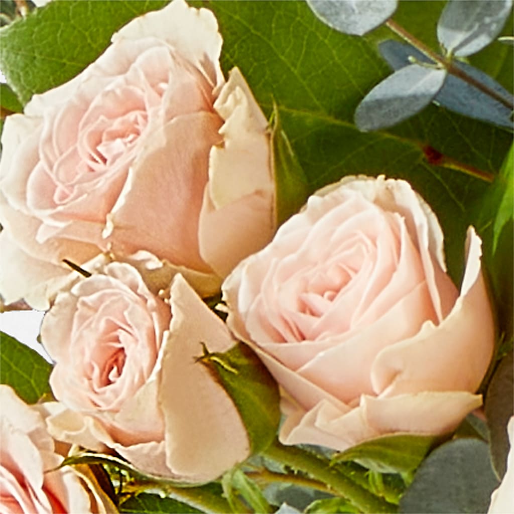Inspired Bouquet –  Eaton Floral Inc, Eaton OH