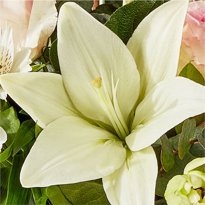 Ballet Slippers Bouquet –  Eaton Floral Inc, Eaton OH