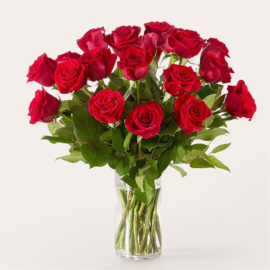 The One Red Rose Bouquet –  Eaton Floral Inc, Eaton OH