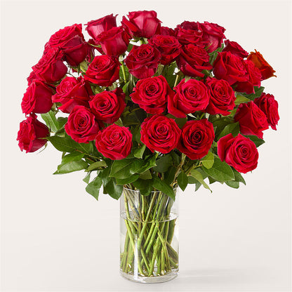 The One Red Rose Bouquet –  Eaton Floral Inc, Eaton OH