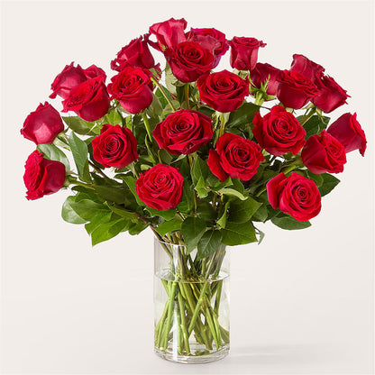 The One Red Rose Bouquet –  Eaton Floral Inc, Eaton OH