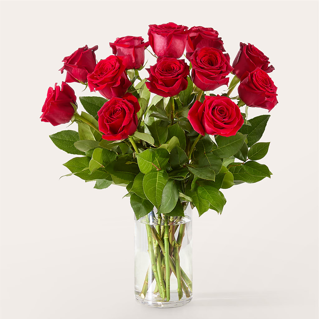 The One Red Rose Bouquet –  Eaton Floral Inc, Eaton OH