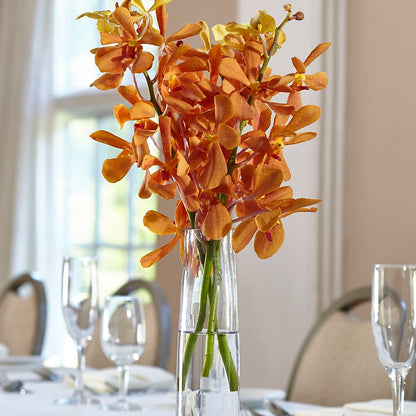 Orange Mokara Bud Vase –  Eaton Floral Inc, Eaton OH