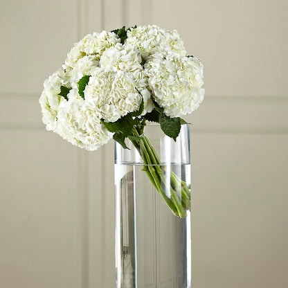 White Hydrangea Hand-Tied Bouquet –  Eaton Floral Inc, Eaton OH