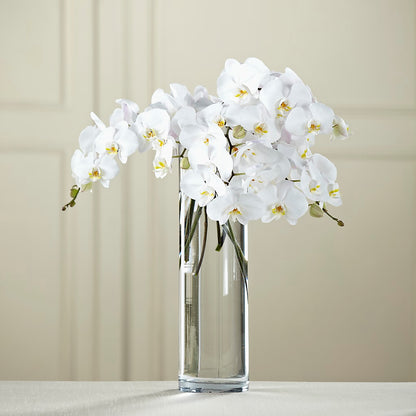 White Phalaenopsis Bouquet –  Eaton Floral Inc, Eaton OH