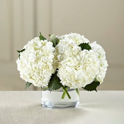 White Hydrangea Bouquet –  Eaton Floral Inc, Eaton OH